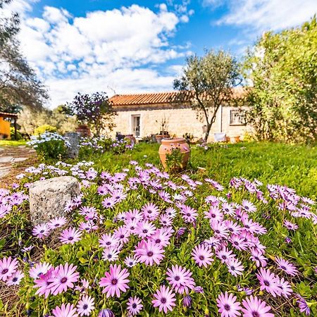 Casa Lilliosa Βίλα Campavaglio Εξωτερικό φωτογραφία
