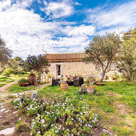 Casa Lilliosa Βίλα Campavaglio Εξωτερικό φωτογραφία
