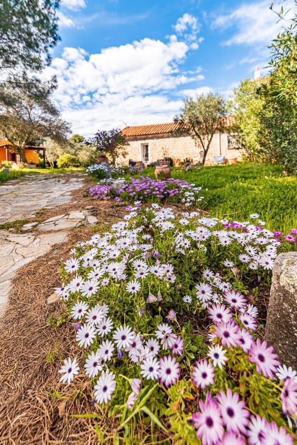 Casa Lilliosa Βίλα Campavaglio Εξωτερικό φωτογραφία